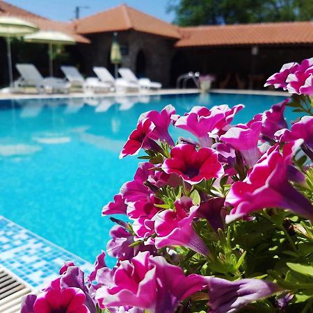 Hunting Residence Asteya Gramatikovo Ngoại thất bức ảnh